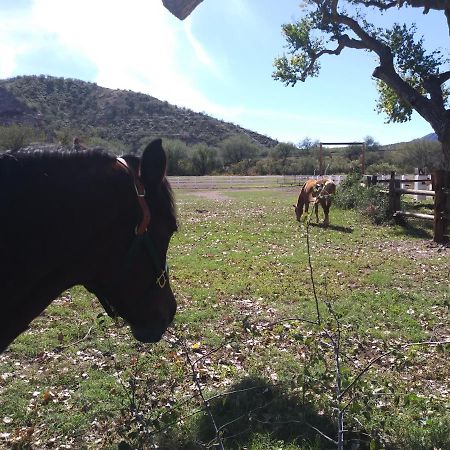 투박 Rancho Santa Cruz B&B 외부 사진